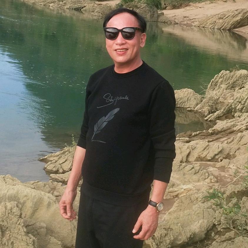 长青树