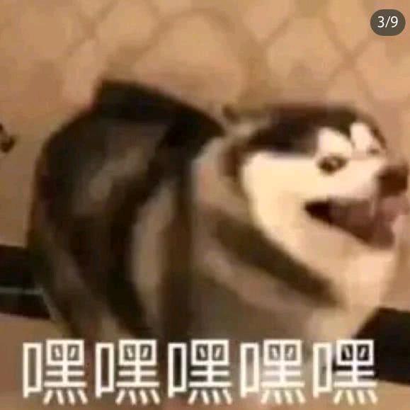 陈三狗子。