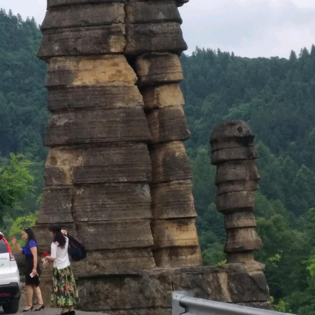翠鸟