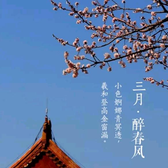 霞映岁月