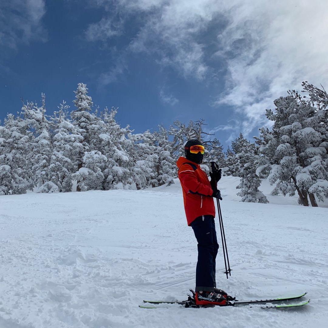 瓦力瓦力没有压力