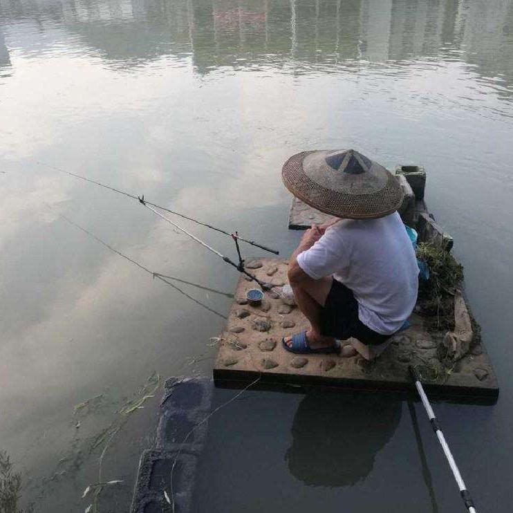 老陈爱你们