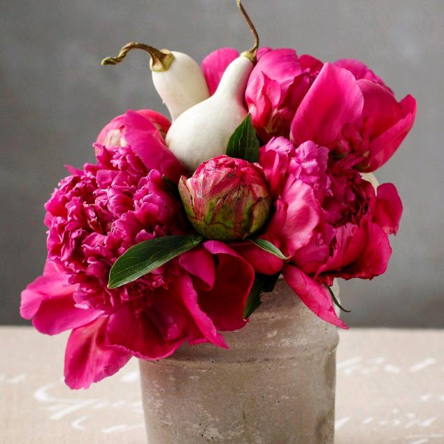 靠近阳光( •̥́ ˍ •̀ू )