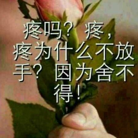 戴过
