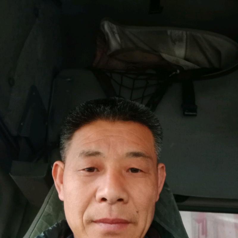 顺风一路