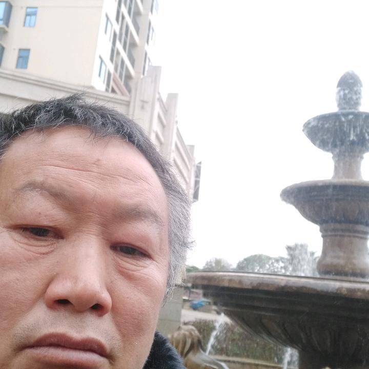 养蜂人  【 老 袁 】