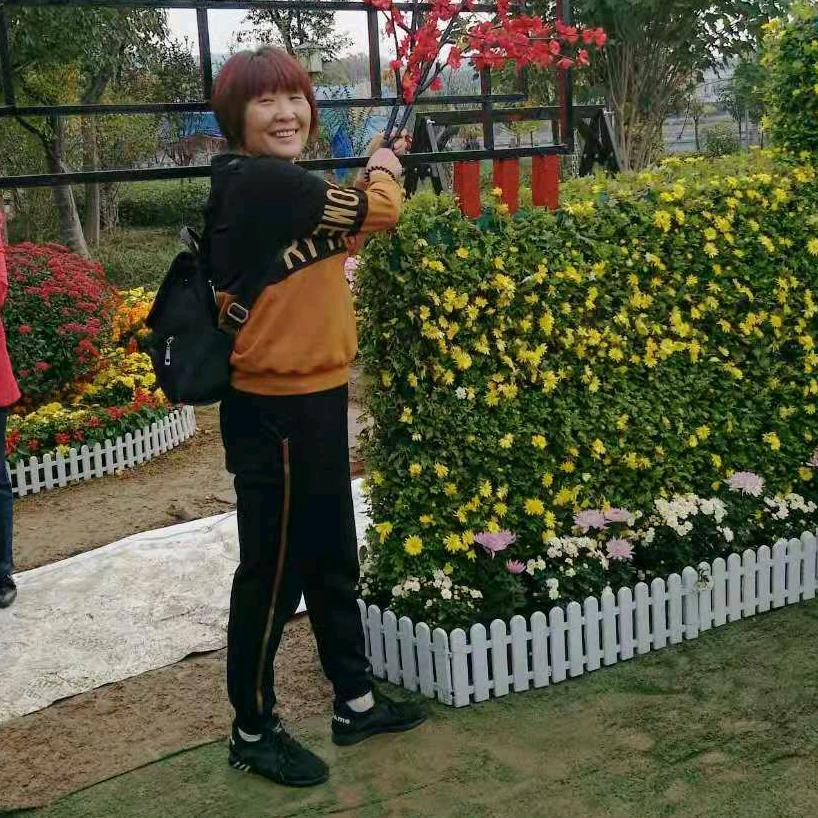 滴滴姐