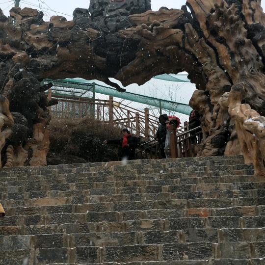 雨中漫步
