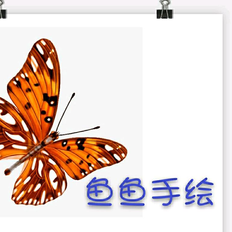 鱼鱼手绘