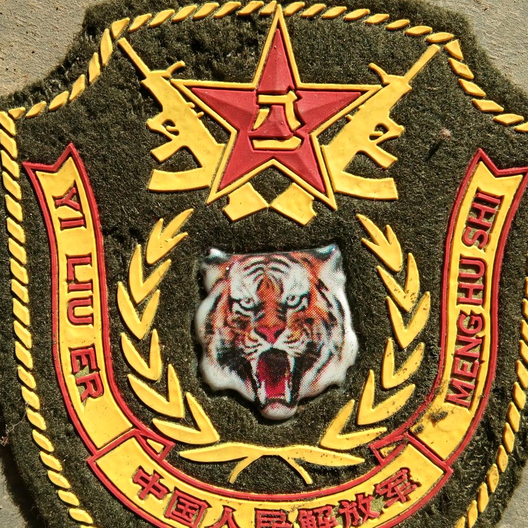 皮氏黄金梨