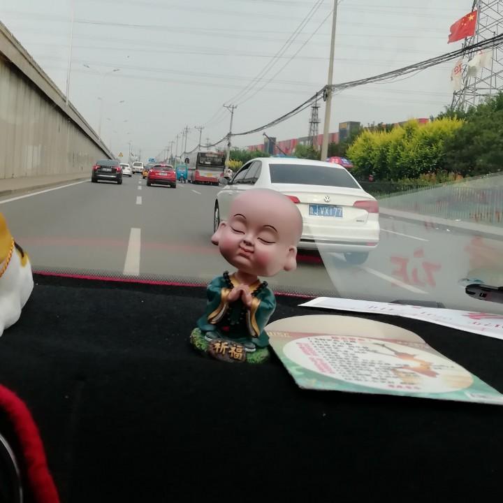 皮皮哥