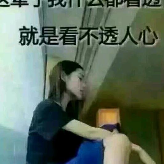 雨豪