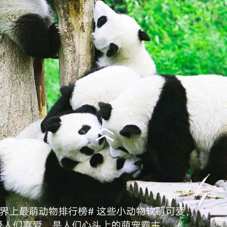 开心就好