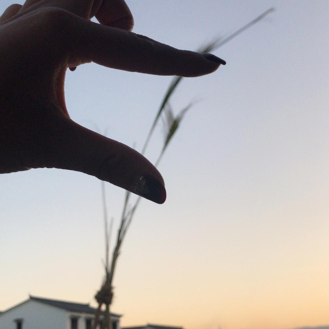 夕木