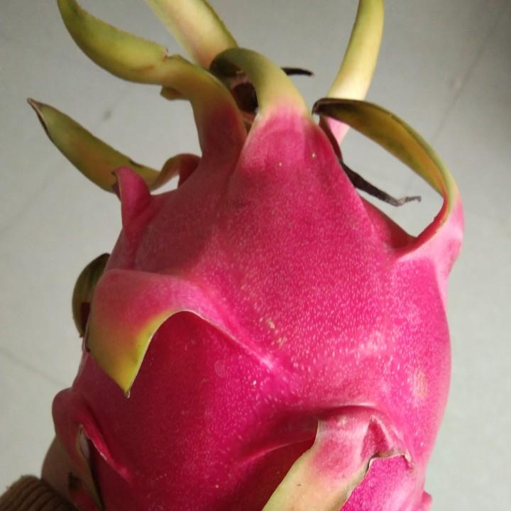 星星