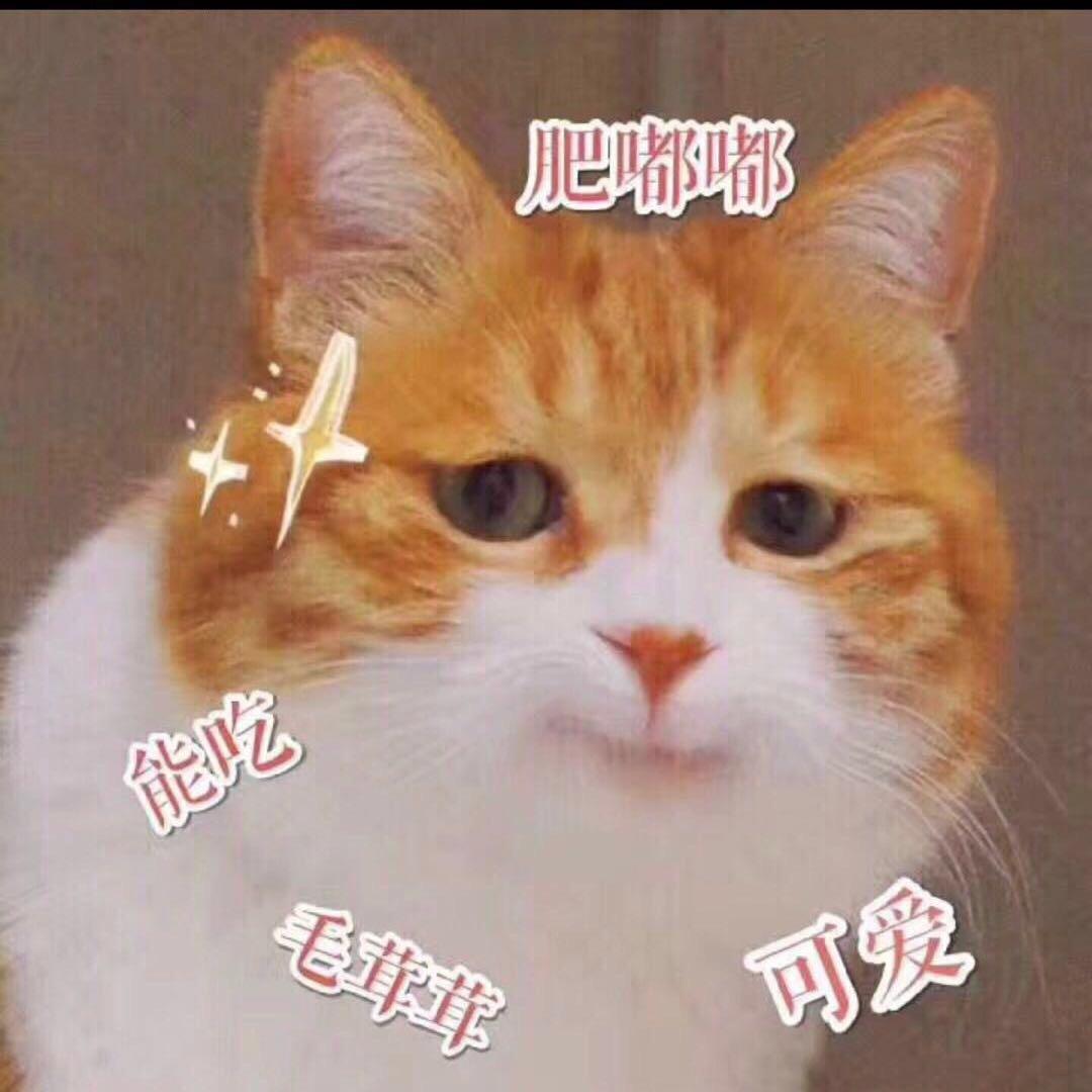罗可爱