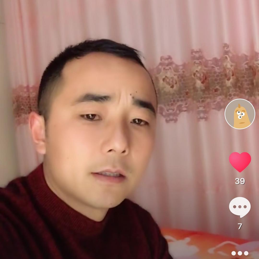 山蝶