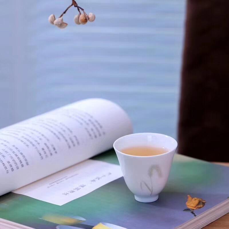 蝴蝶🦋