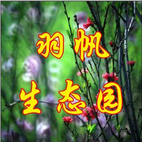希望