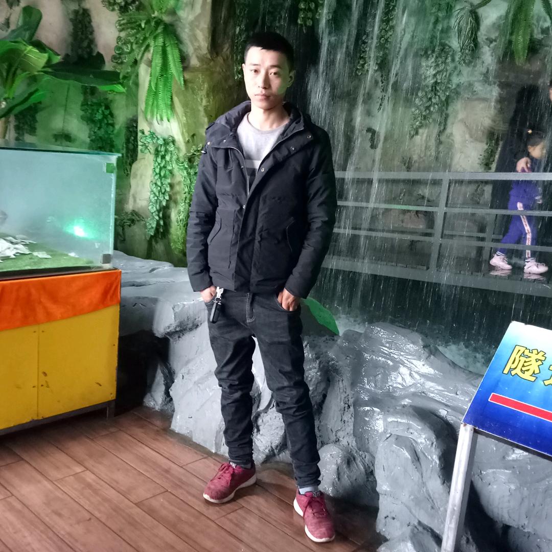 陶总
