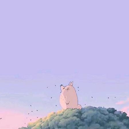 猫猫来了