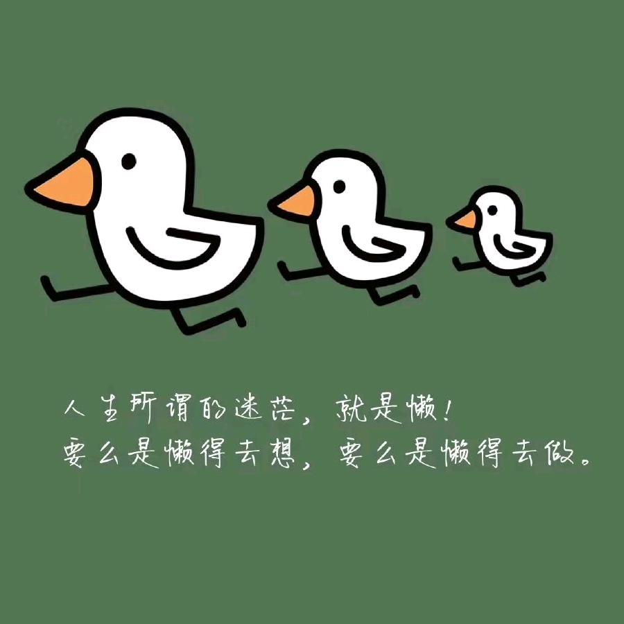 微风呀