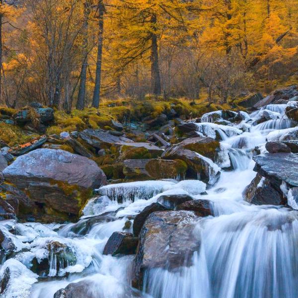 Cynicism玩世不恭972