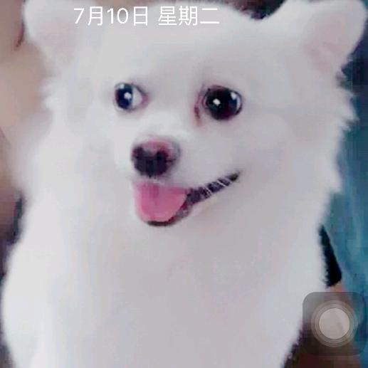 独醉街头