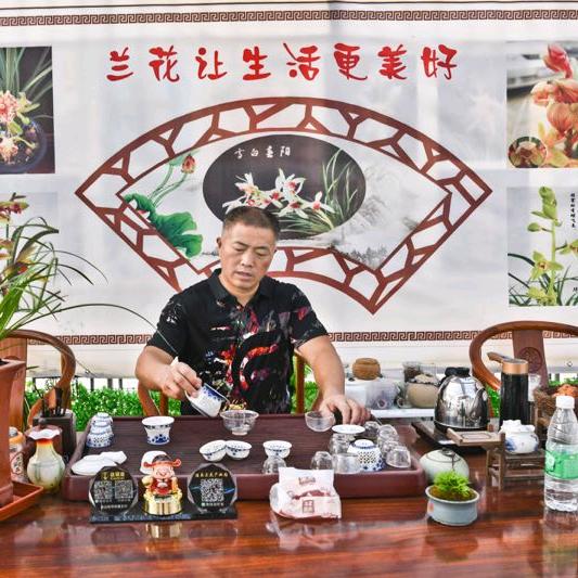 湖北钟祥市酒泉兰花