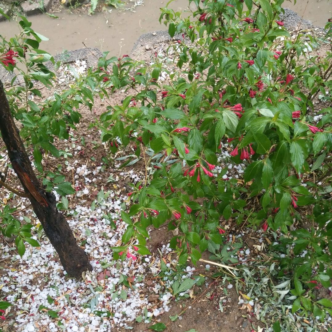 相约