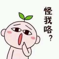 派星儿的摄影师