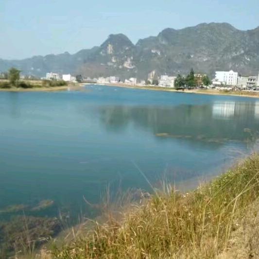 岁月静好林
