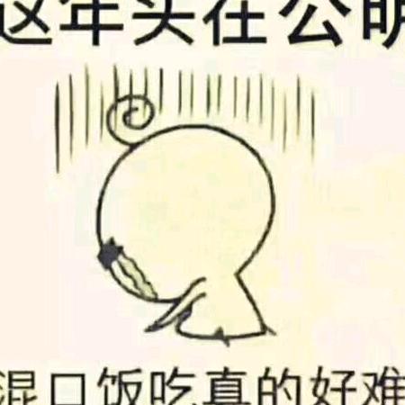 情有独钟宝