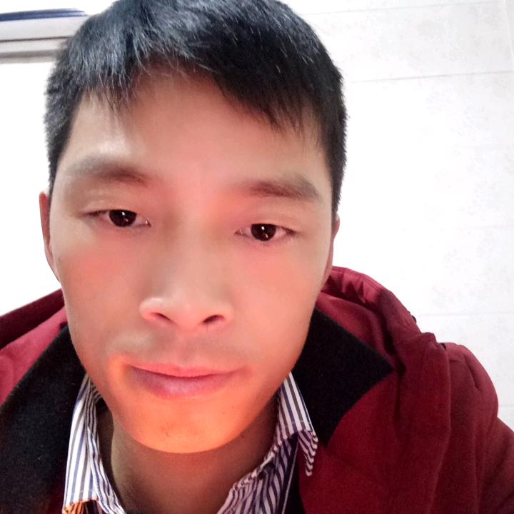 清晨的阳光