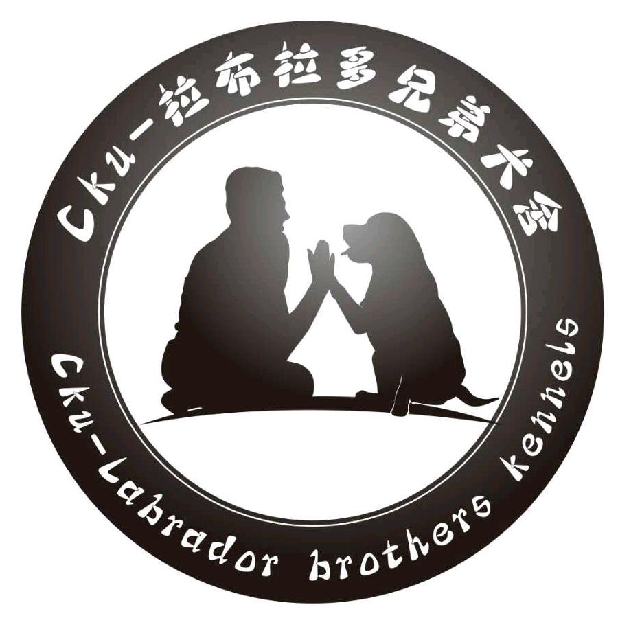 Cku拉布拉多兄弟犬舍