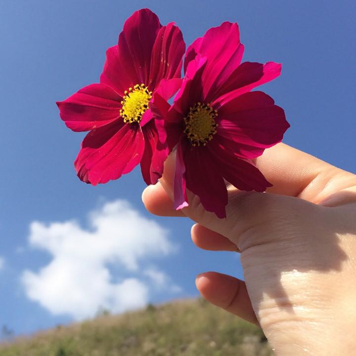 龙笨笨