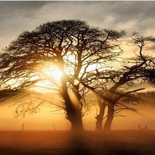 悠味食品专营店