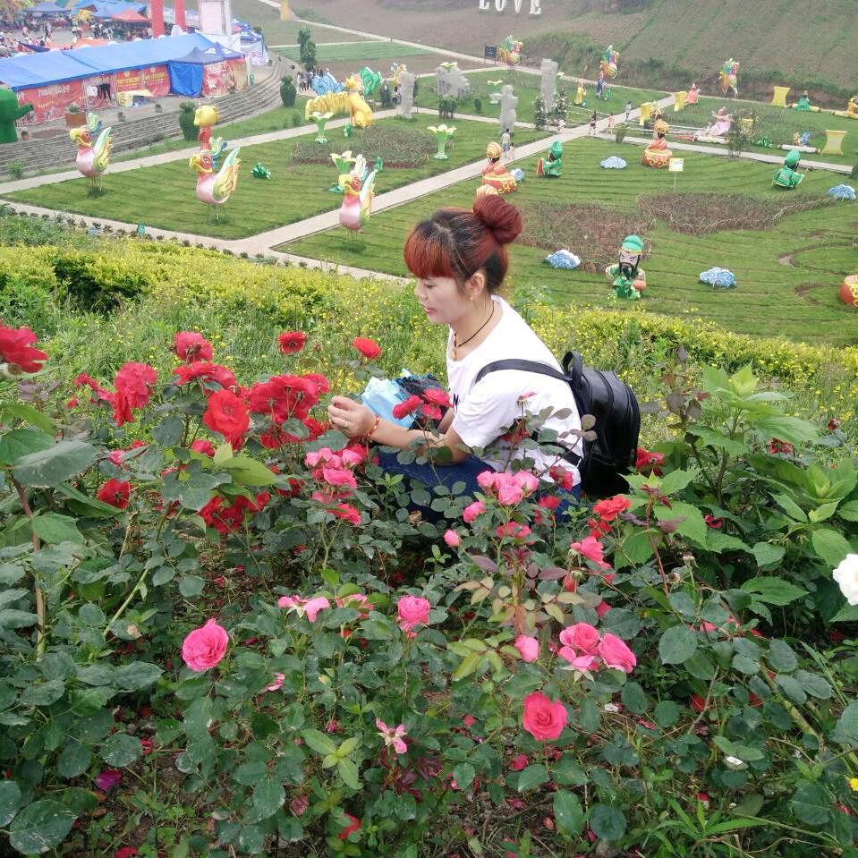 兰花草🌺(^_^) 🍓