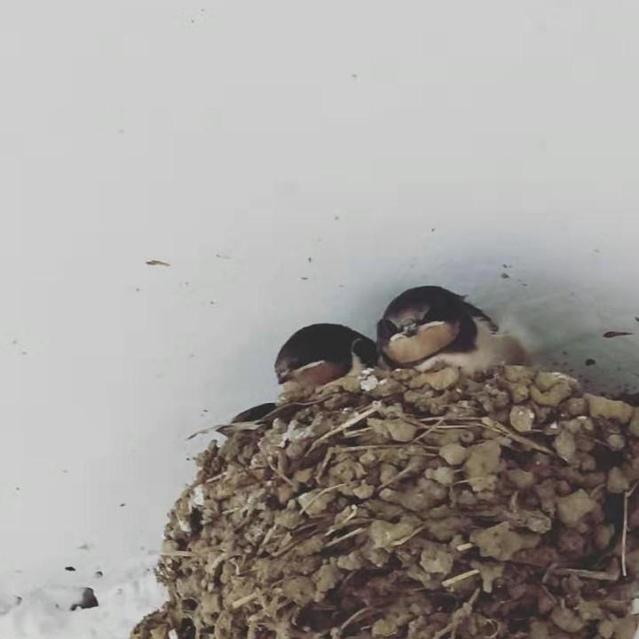 秋丰熟食