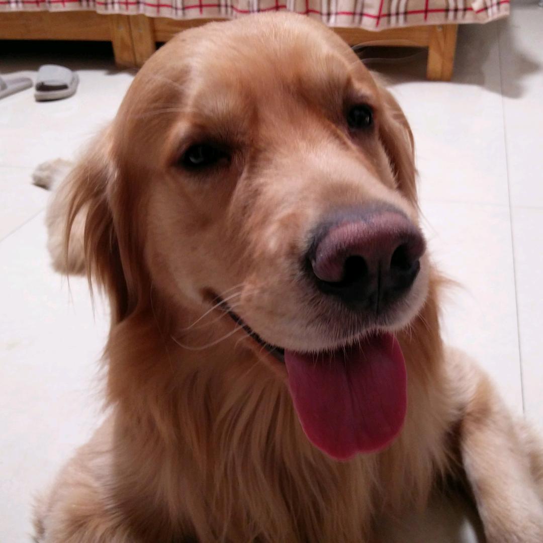 毛毛