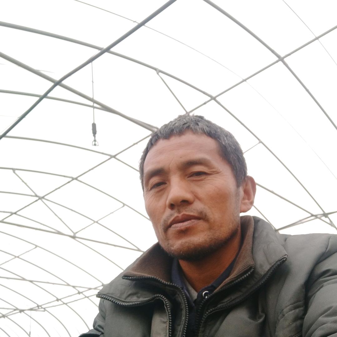 龚涛