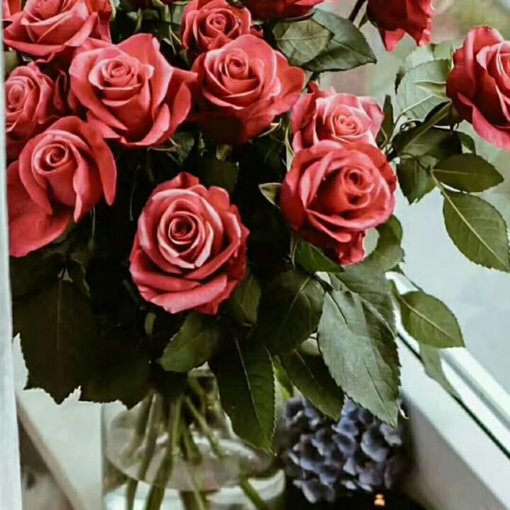 范姐的？小幸福🍎🍎