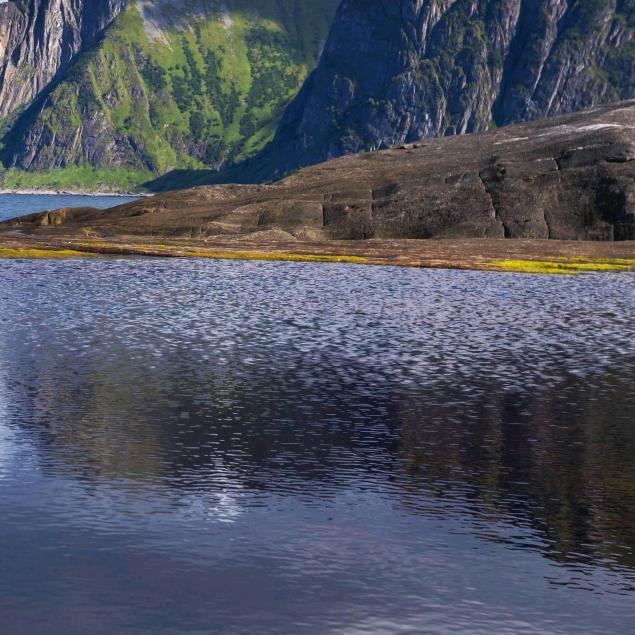 专业构建温室大棚