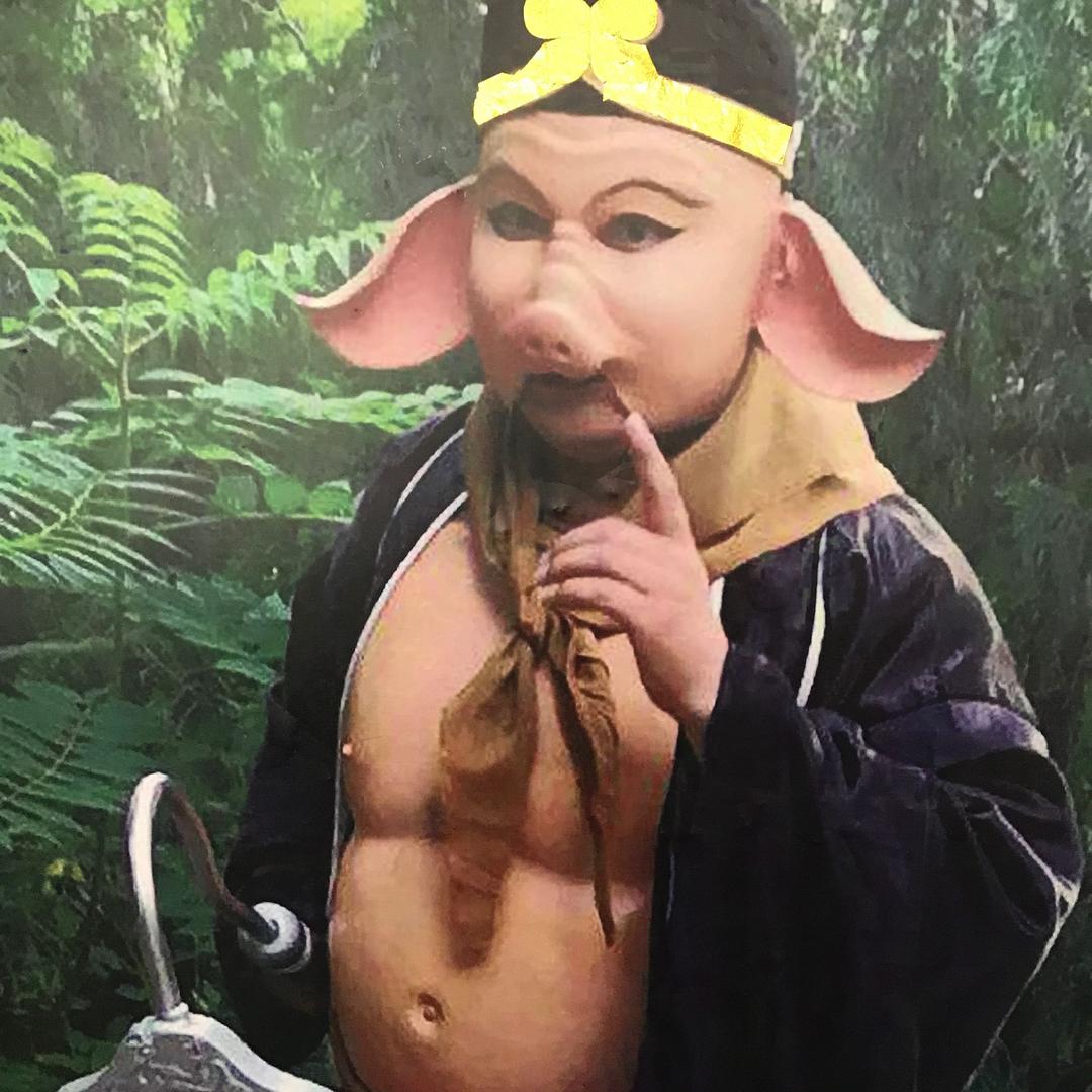 🌹八戒🌹