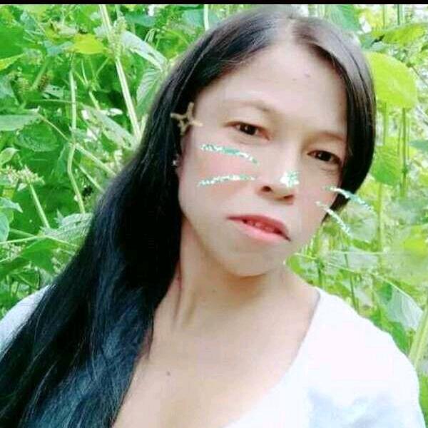 菲菲澄