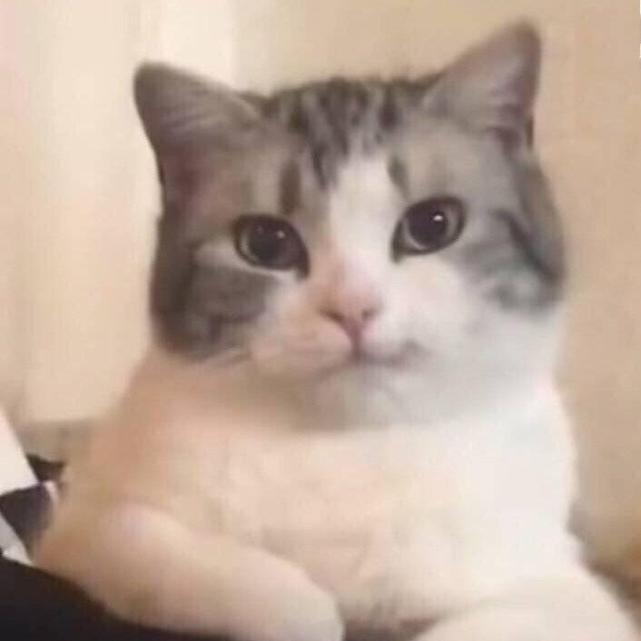 水晶九年一贯制学校