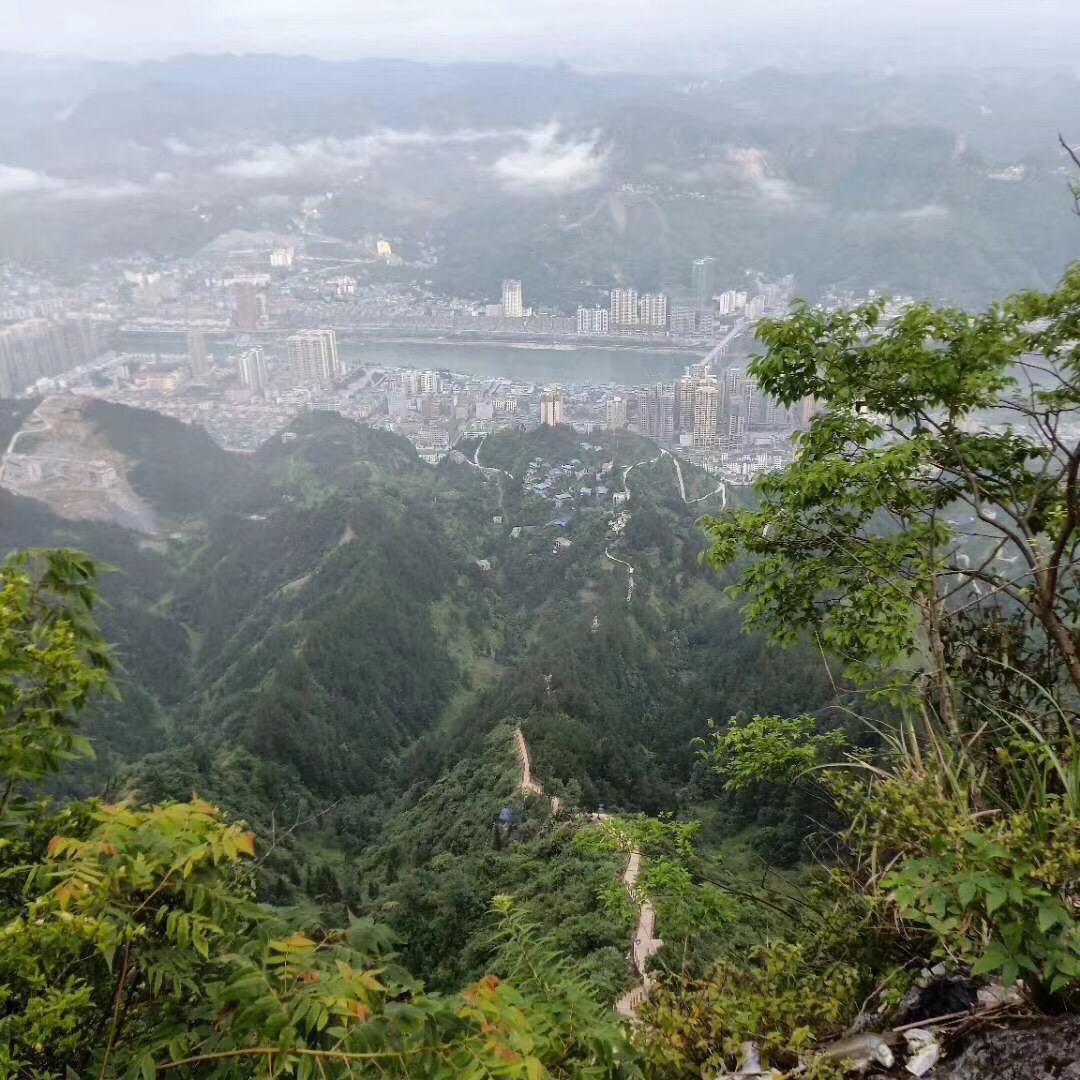 何少