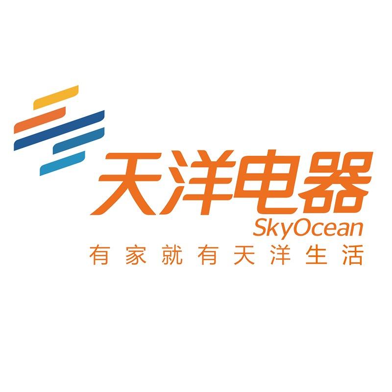 天洋电器有限公司