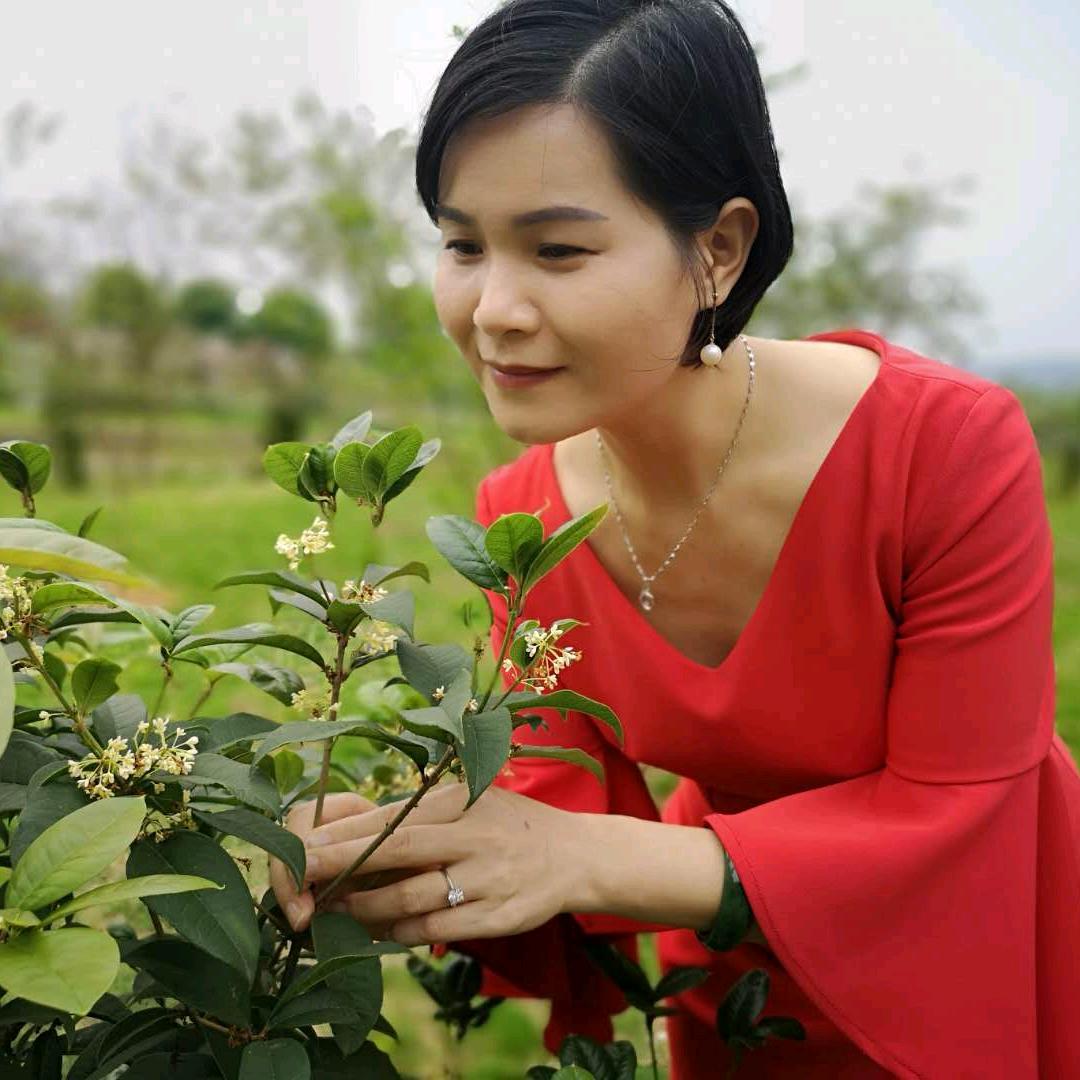 覃秋化🌹中华文化践行者🌹智慧博物馆