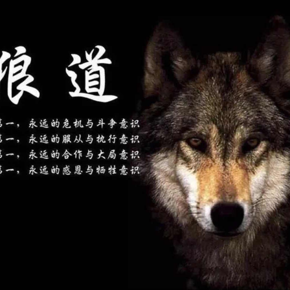 兴锋做浪